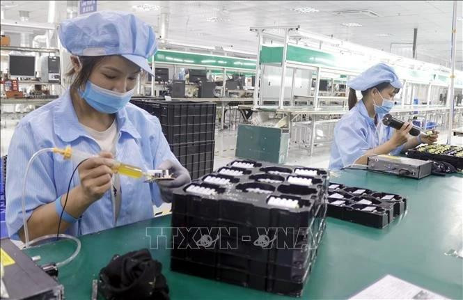 为促进人工智能和半导体产业的发展，越南将聚焦多个关键举措，降低企业和民众的成本，减少行政审批，精简不必要的行政手续。（图片来源：越通社）