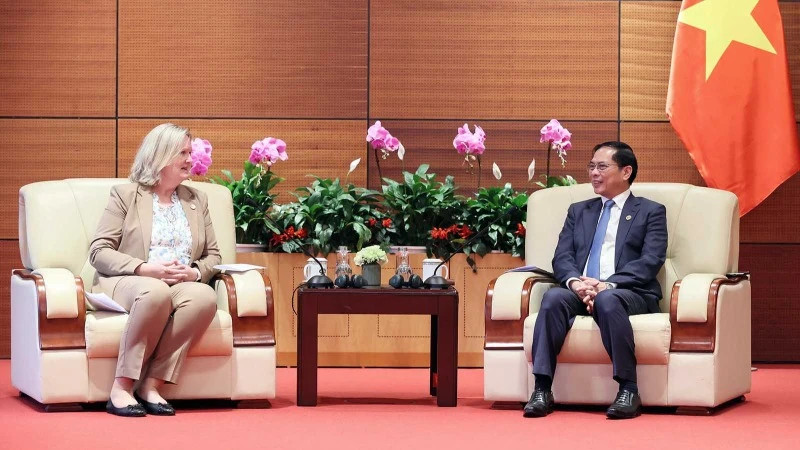 越南政府副总理兼外交部长裴青山会见丹麦外交部国务秘书莉娜·汉森。（图片来源：VGP）