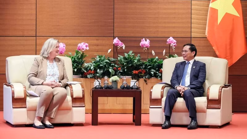 越南政府副总理兼外交部长裴青山会见丹麦外交部国务秘书莉娜·汉森。（图片来源：VGP）