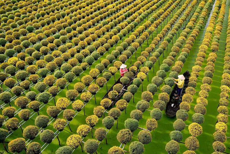 附图：同塔省的沙沥花村。