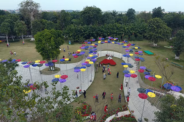 五颜六色的花街在 Ecopark 举行 ảnh 1