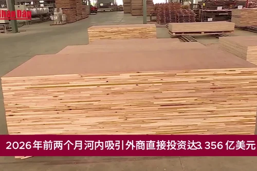 2026年前两个月河内吸引外商直接投资达3.356亿美元【视频】