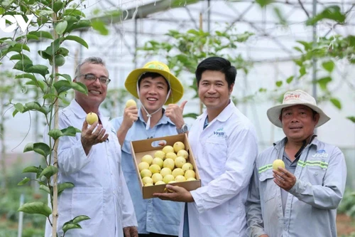 附图：越南果树行业设定2025年水果出口额超50亿美元的目标。