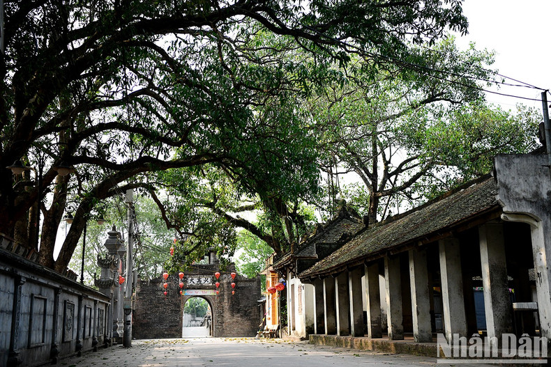 踏过古老的村门,映入眼帘的是一座座古色古香的房屋,屋梁柱架雕刻精美,依然保留着往昔的风貌。蜿蜒的小巷,墙砖染上岁月的痕迹,尽显时光沉淀的韵味。 踏过古老的村门,映入眼帘的是一座座古色古香的房屋,屋梁柱架雕刻精美,依然保留着往昔的风貌。蜿蜒的小巷,墙砖染上岁月的痕迹,尽显时光沉淀的韵味。