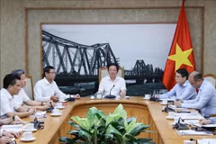 越南政府副总理胡国勇主持会议。（图片来源：越通社）