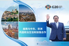 越南与中东、非洲国家巩固政治互信和加强合作