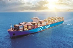 越南现有8艘船舶和160名船员在中东地区运行。（图片来源：越通社）