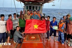 胡志明市全力以赴解除IUU"黄牌"警告。（图片来源：越通社）