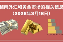 越南外汇和黄金市场的相关信息【图表新闻】