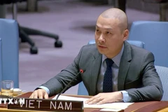 越南常驻联合国代表团临时代办阮黄原公使。（图片来源：越通社）