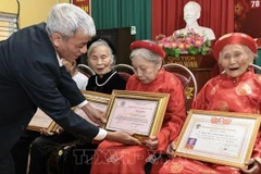 附图。（图片来源：越通社）