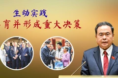 生动实践孕育并形成重大决策