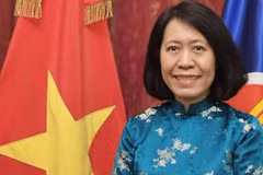 越南驻阿根廷大使吴明月。（图片来源：越通社）