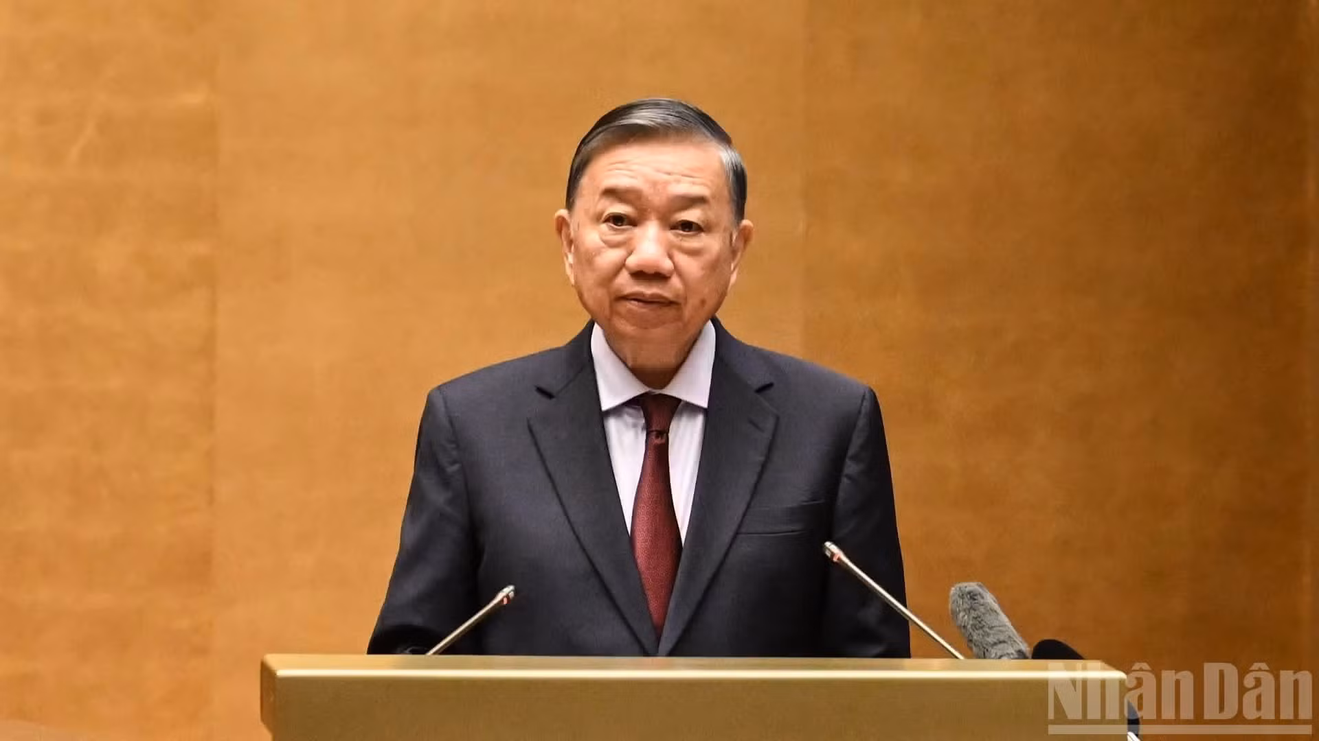 苏林总书记、国家主席在会议上发表指导性讲话。