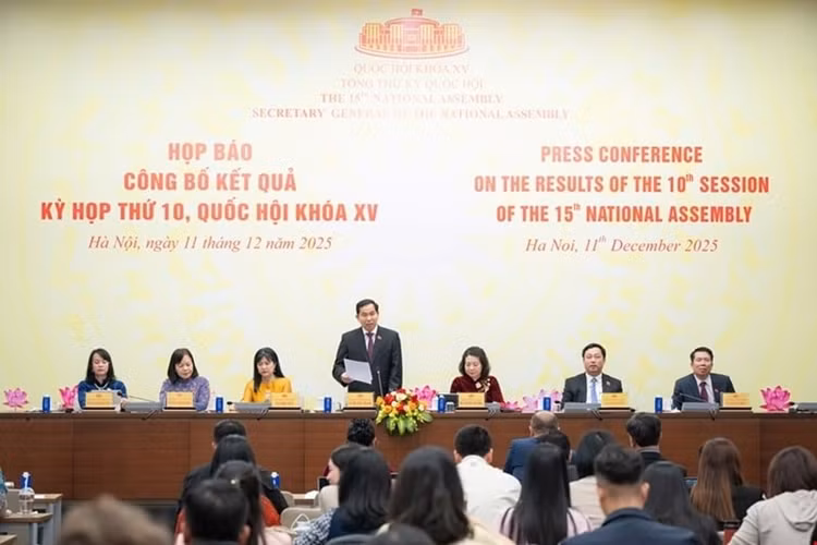 新闻发布会场景。