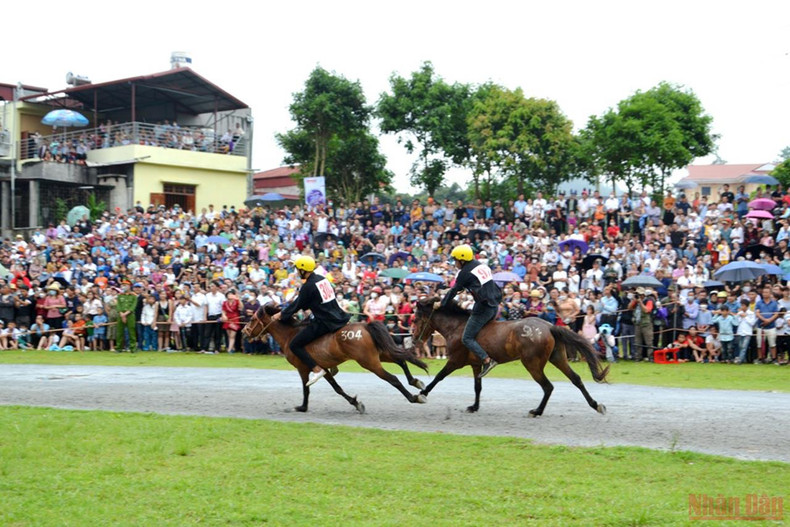 北河白高原独有的驮马赛 ảnh 1 北河白高原独有的驮马赛 ảnh 1