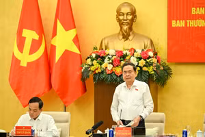 国会党委常务委员会和胡志明市市委常务委员会会议【组图】