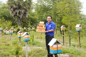 安江省泰山坊的年轻人阮忠成成功开展无刺蜂养殖模式，获得可观收入。（图片来源：越通社）