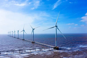 附图。（图片来源：越通社）