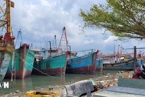 附图。（图片来源：越通社）