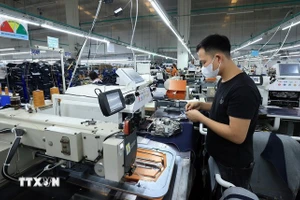 附图。（图片来源：越通社）