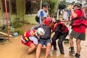 2025年11月4日，菲律宾宿务省救护人员帮助受灾影响民众。（图片来源：新华社）