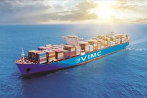 越南现有8艘船舶和160名船员在中东地区运行。（图片来源：越通社）