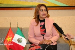 墨西哥劳动党议员、众议院福利委员会主席、墨越友好议员小组主席安娜·卡琳娜·罗霍·皮门特尔接受越通社驻墨西哥记者采访。（图片来源：越通社）