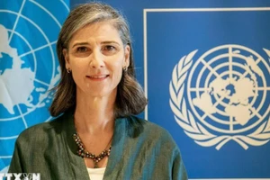 UNDP驻越首席代表拉姆拉·哈利迪。（图片来源：越通社）