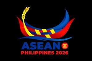 加强东盟与中日韩合作 提升金融韧性