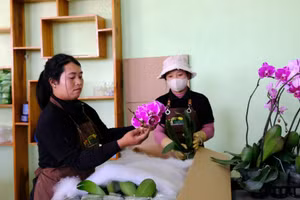 为少数民族同胞创造工作岗位。