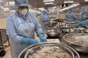 附图：第一季度越南水产品出口增长8%。