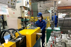 附图：富寿省越南春和股份公司的生产活动。（图片来源：越南人民军队报）