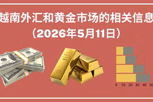 越南外汇和黄金市场的相关信息【图表新闻】