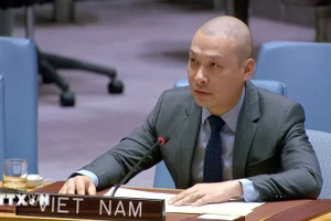 越南常驻联合国代表团临时代办阮黄原公使。（图片来源：越通社）