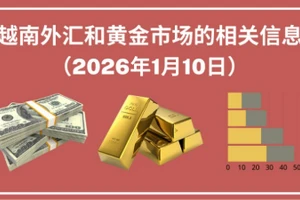 越南外汇和黄金市场的相关信息【图表新闻】