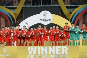 第33届东运会：越南体育迈向新高峰的征程。（图片来源：越通社）