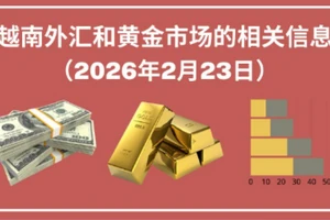 越南外汇和黄金市场的相关信息【图表新闻】