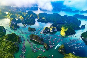 吉婆群岛于2004年被联合国教科文组织公认为世界生物圈保护区，并于2013年获越南政府总理批准成为国家特别遗迹。（图片来源：越通社）