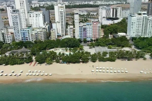 附图。（图片来源：民智报）