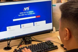 附图。（图片来源：越通社）