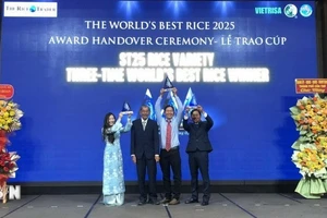 越南ST25大米被授予2025年度“世界最香大米”奖杯。