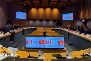 越加经济混合委员会第三次会议6月5日举行。（图片来源：越通社）