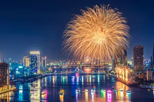 德国队的烟花在瀚江夜空华丽绽放。（图片来源：越通社）