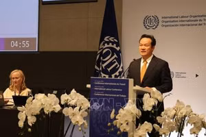 越南常驻日内瓦代表团团长梅潘勇大使出席国际劳工组织第114届国际劳工大会全体会议并发表讲话。（图片来源：越通社）