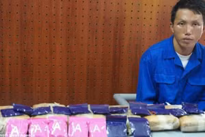 奠边省抓获一名非法跨境运输17块毒品的嫌疑人。（图片来源：越通社）