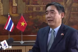 越南驻泰国大使范越雄。（图片来源：越通社）