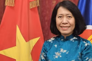 越南驻阿根廷大使吴明月。（图片来源：越通社）