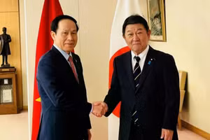 越南政府副总理黎进珠会见日本外务大臣茂木敏充。（图片来源：VOV）