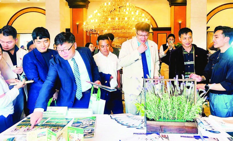韩国合作伙伴了解林同—大叻旅游发展情况。